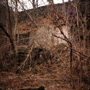 Lumb Mill Ruins, Colden