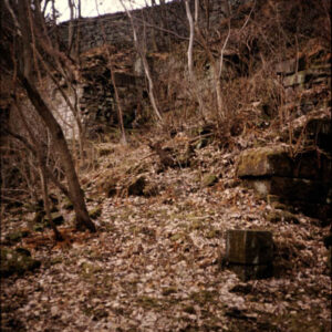 Lumb Mill Ruins, Colden