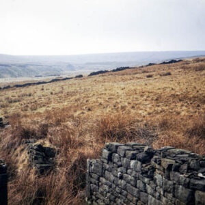 Looking towards Noah Dale