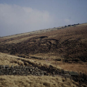 Moorland