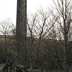 Land Mill Chimney, Colden