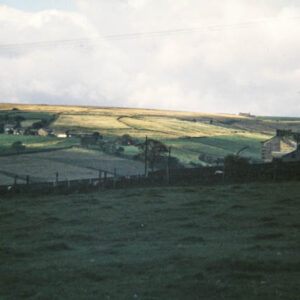 Colden Valley