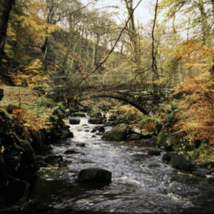 Milking Bridge in the Lower Colden Valley