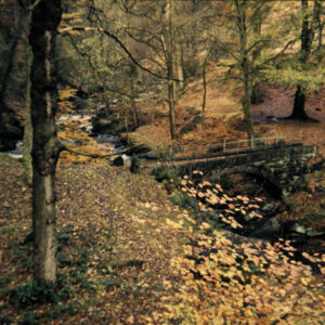 Milking Bridge in the lower Colden Valley