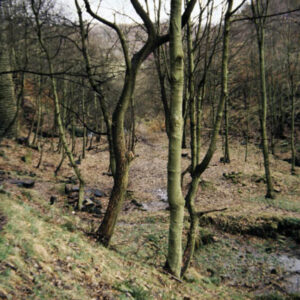 Colden Valley
