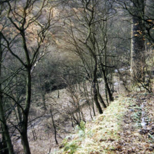 Colden Valley