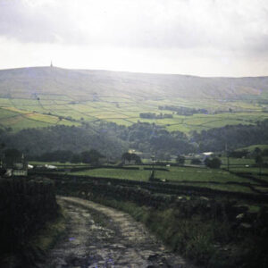 Eastwood Lane