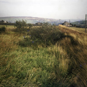 Lane End Dam, Winters, Blackshaw