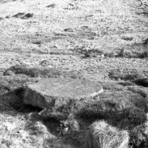 Millstone at Noyna, Foulridge