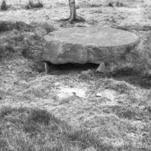 Millstone at Noyna, Foulridge