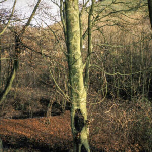 Luddenden Valley