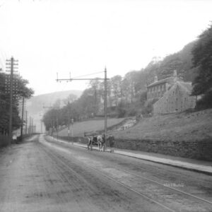 Mayroyd