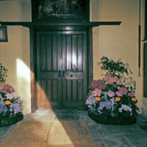 Floral Arrangements
