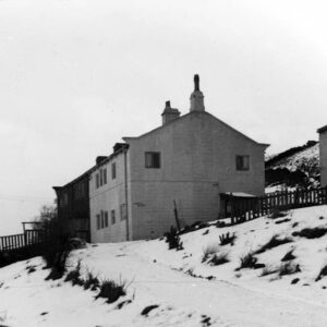 Longtail, Edge Lane, Colden