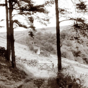 Outwood, Crimsworth Dene. 13th Oct 1960
