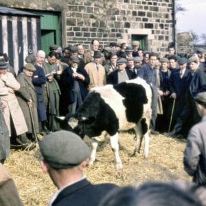 Farm Sale