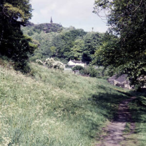 Hardcastle Crags. Woods. 27th May 1960