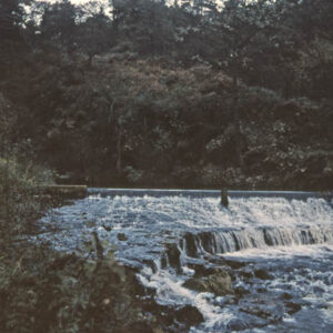 In Hardcastle Crags. Oct 1958
