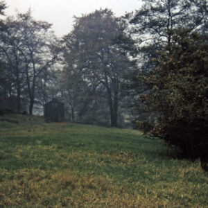 Hardcastle Crags. Woods. Nov 1958