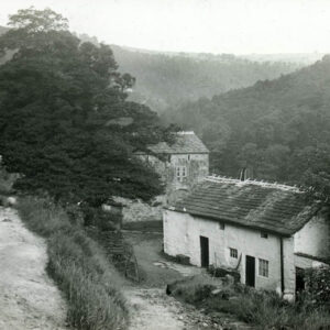 Hawdon Hole