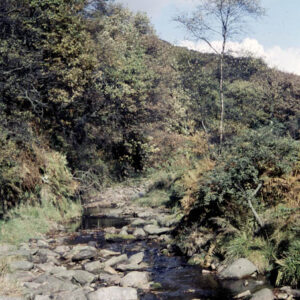 Crimsworth Beck. 13th Oct 1959