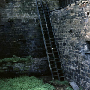 Ladder. Babyhouse Hill. Crimsworth Dean. July 1959
