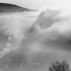 Morning mist
