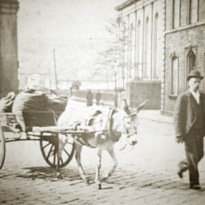 Man with Donkey, Hebden Bridge.