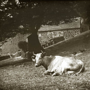 Mayroyd Farm and the old Turnpike Road