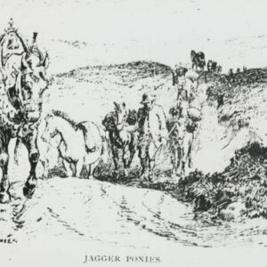 Jagger Ponies