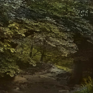 Cragg Vale River Scene