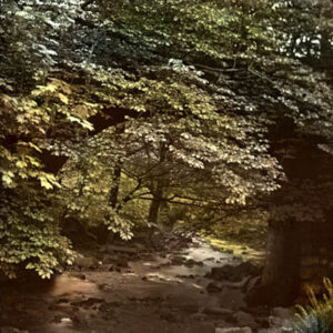 Cragg Vale River Scene
