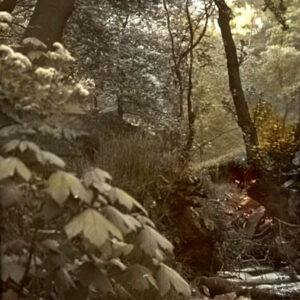 Cragg Vale River Scene