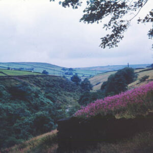 Colden Valley?