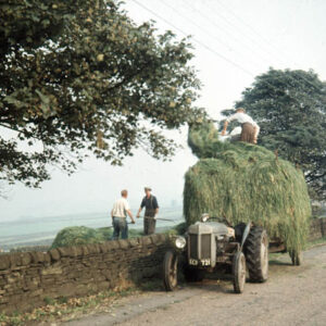 Loading Hay, Possibly on Widdop Road