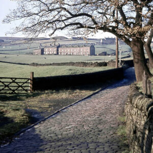 Looking Towards Springfield Terrace