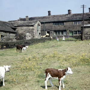 Cliff Hill, Midgley