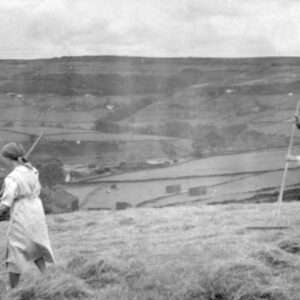 Hay Rowing, Sands Farm, Sowerby