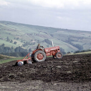 Disc Harrowing in Midgley