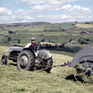 Hayshaking