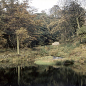 Jowler Dam in Wade Wood