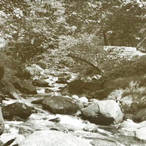 Milking Bridge, Colden Valley