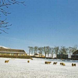 Old Town Cricket Club in the snow