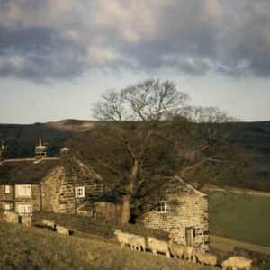 Winter Light at High Barn Farm, Todmorden