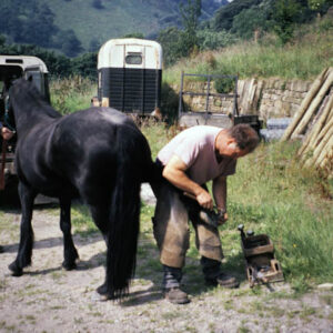 Farrier at Work
