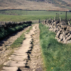 Packhorse Track, Langfield