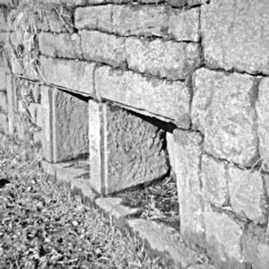 Bee Boles in Wall