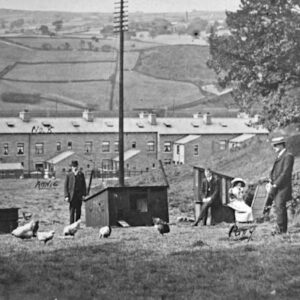 Behind Stoodley Glen, Todmorden