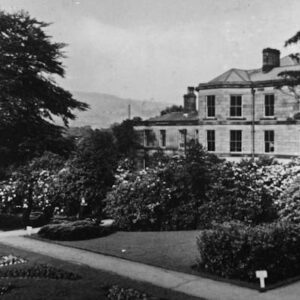 The Mansion, Centre Vale Park