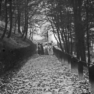Lover's Walk, Centre Vale Park Woods